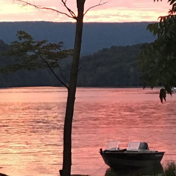 Meet your Posher, Terri - Picture 1 of 1